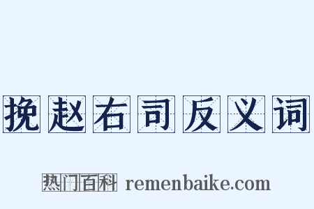 挽赵右司反义词是什么意思的图片